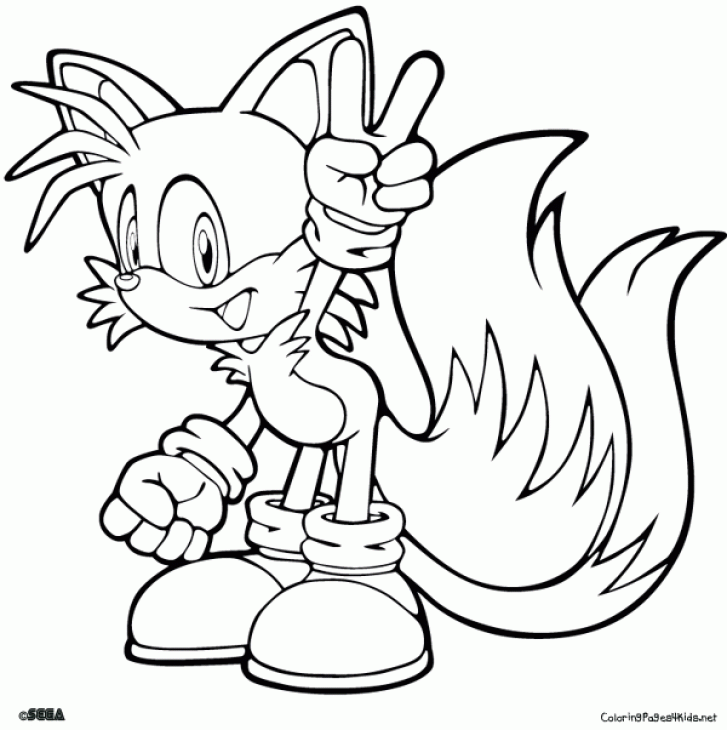 Download or print this amazing coloring page: Manual Free Coloring Pages Of  Classic Tails, Proficie… | Super coloring pages, Cartoon coloring pages,  Hedgehog colors