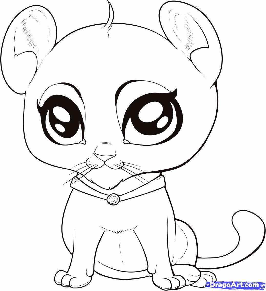 10 Pics of How To Draw Cute Baby Animals Coloring Pages - Cute ...