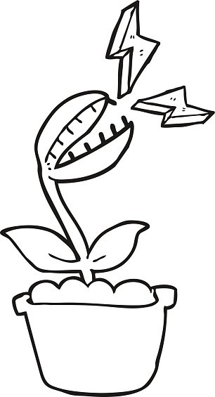 Black And White Cartoon Venus Fly Trap Stock Vector | Royalty-Free |  FreeImages