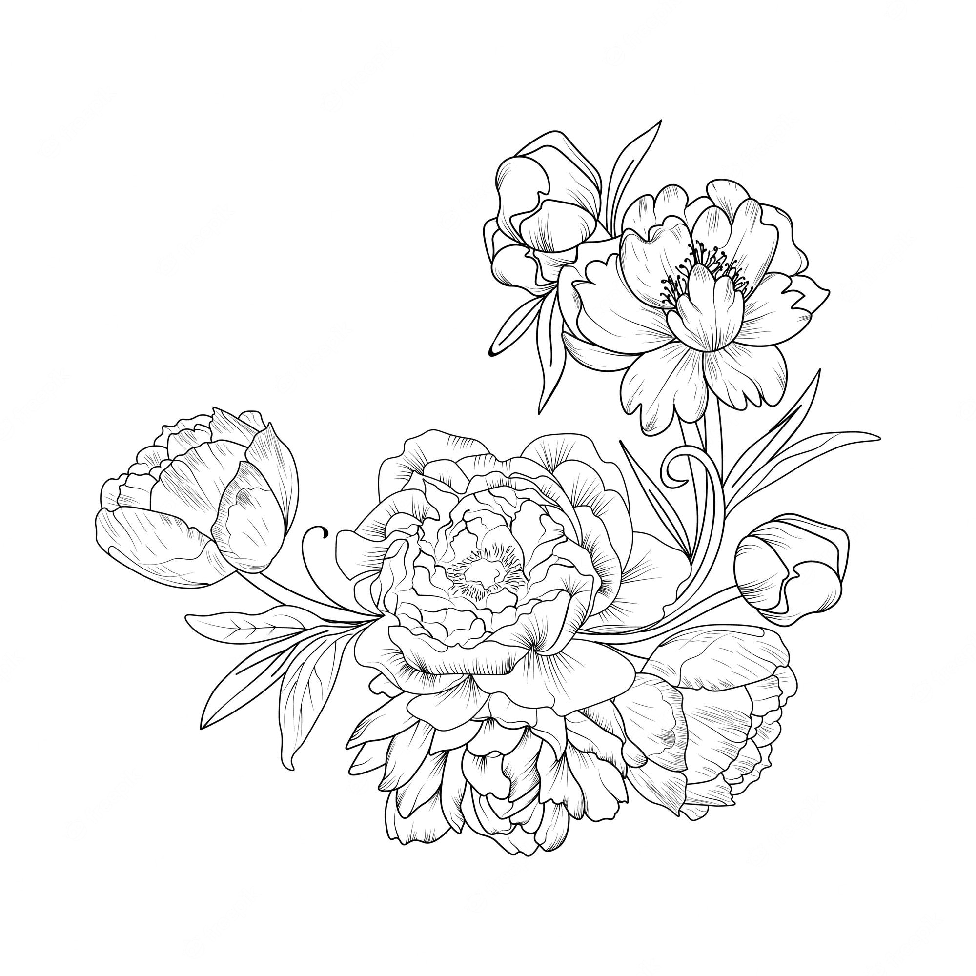 Premium Vector | Silhouettes of wildflowers from simple lines arts peony on  a white background design coloring book.
