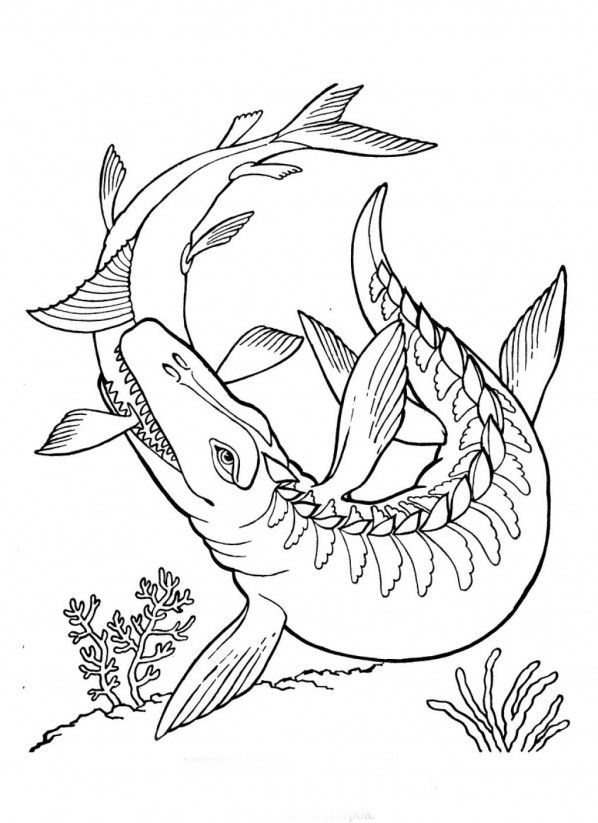 Printable Mosasaurus Dinosaur Coloring Pages | Kidskat.com | Dinosaur coloring  pages, Dinosaur coloring, Dinosaur pictures