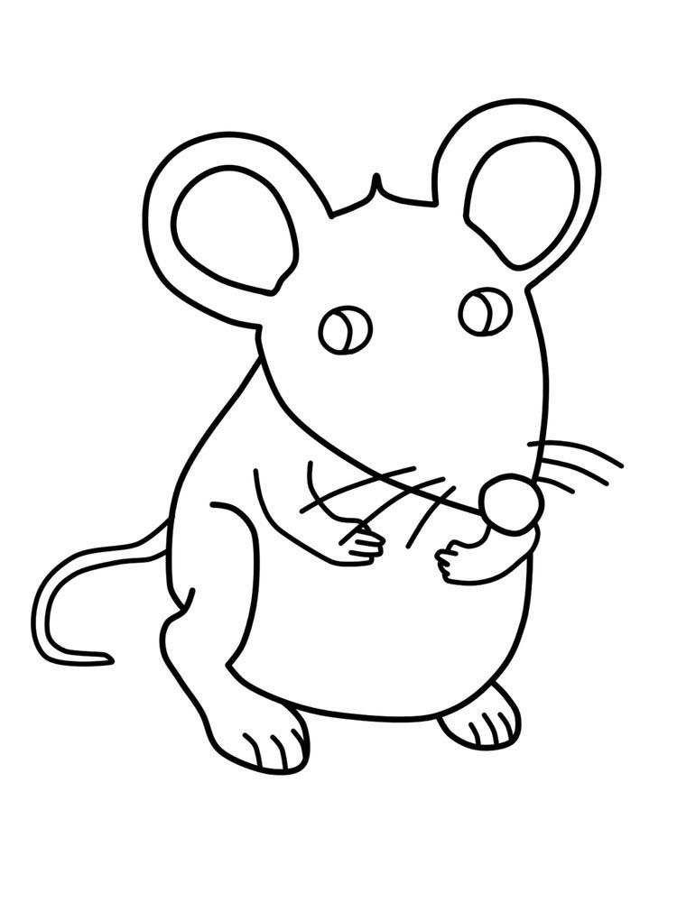 Lab Rats (Dengan gambar)