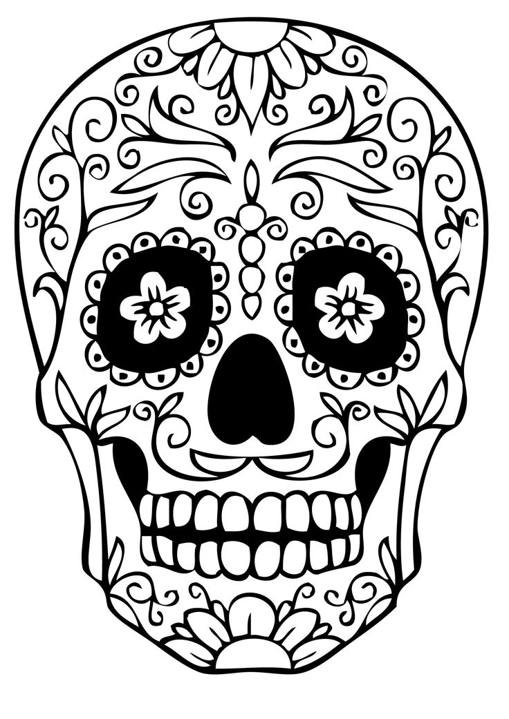 1000+ ideas about Animal Coloring Pages on Pinterest | Colouring ...