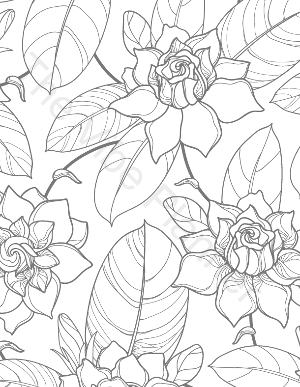 Printable Adult Coloring Book | Stress ...