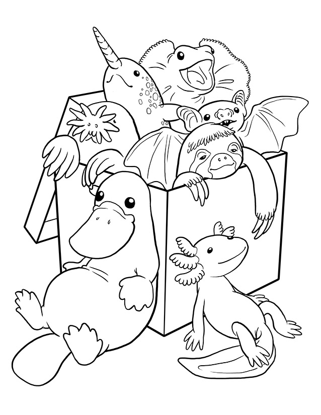 Cute Animals in Box Coloring Page - Get ...