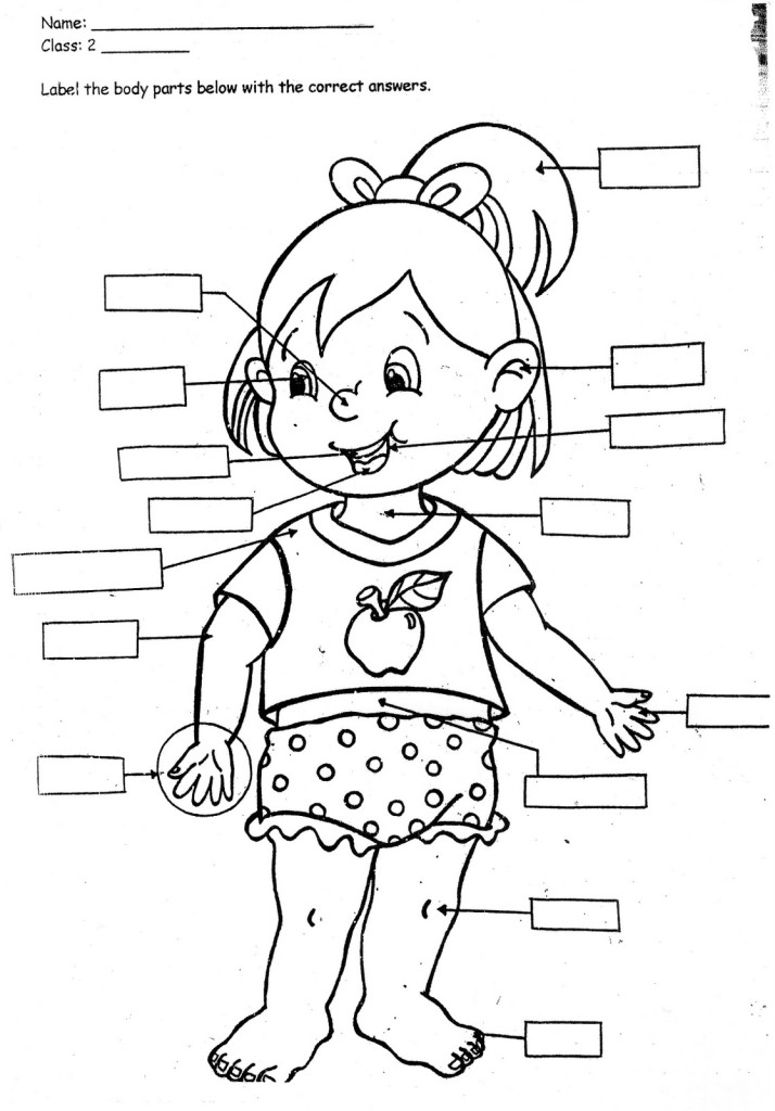 Print Body Parts Coloring Pages For Kids Laptopezine #fmn9Yy - Clipart  Suggest