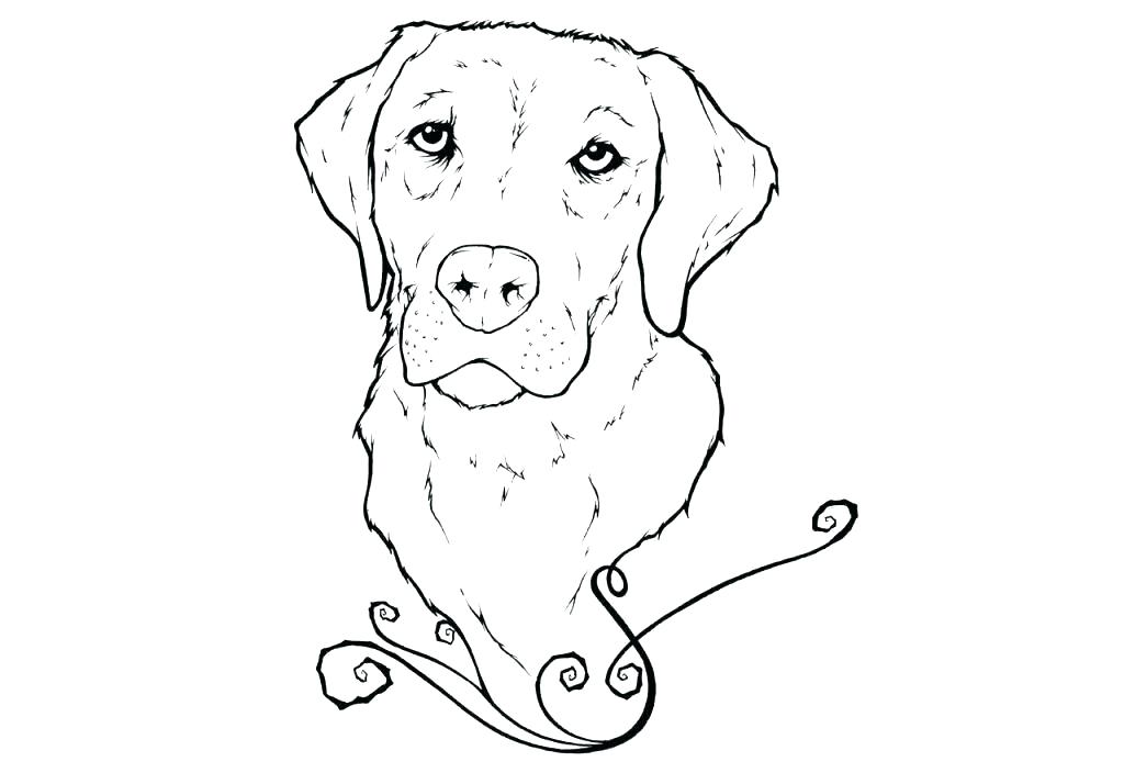 Golden Retriever Coloring Pages - Best Coloring Pages For Kids