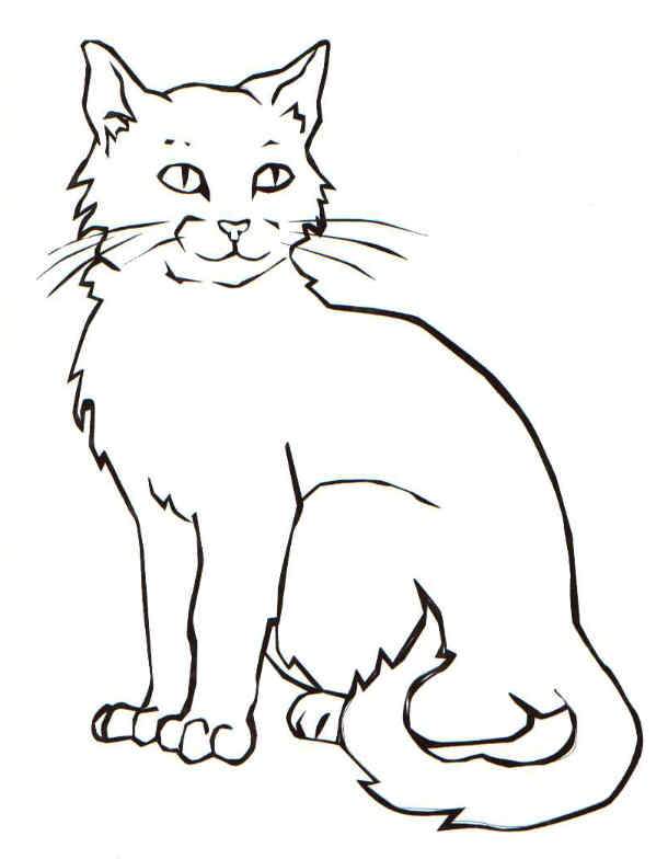 Realistic Cat Coloring Pages - Get Coloring Pages