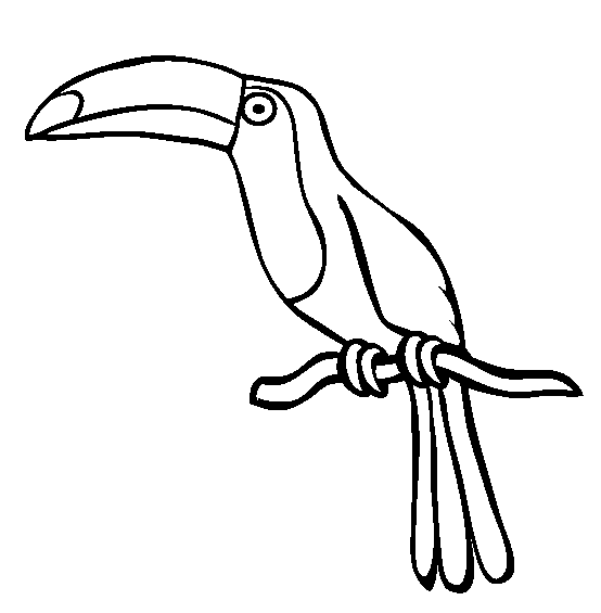 Tucan coloring page - Animals Town - animals color sheet - Tucan ...