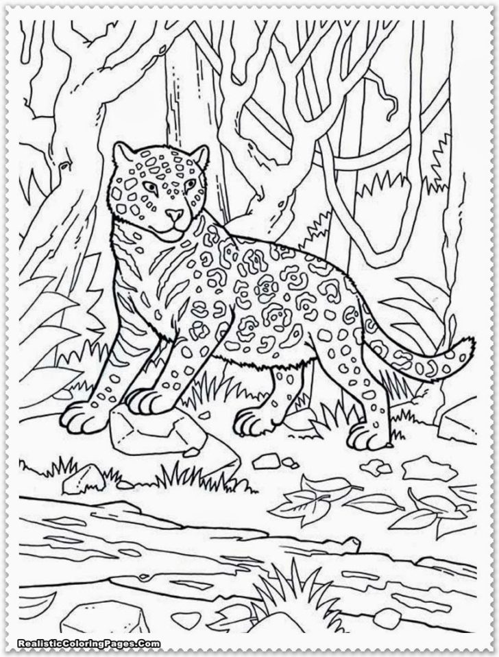 Free Jungle Animals Coloring Pages Tag: Stunning Jungle Coloring ...