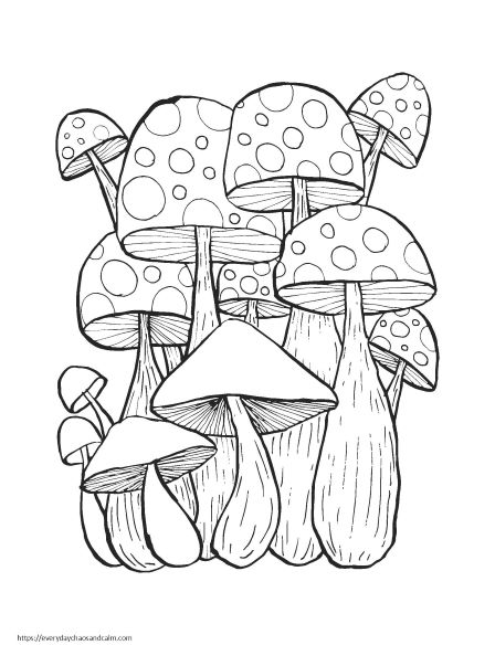 14 Fun Mushroom Coloring Pages For Kids & Adults