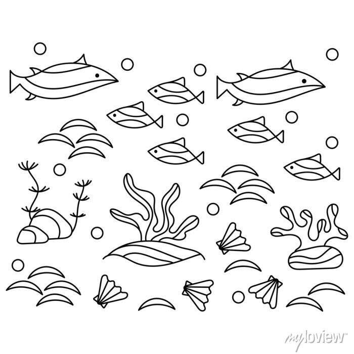 Underwater world coloring pages. algae fish shells. hand-drawn • wall  stickers children, shell, turtle | myloview.com