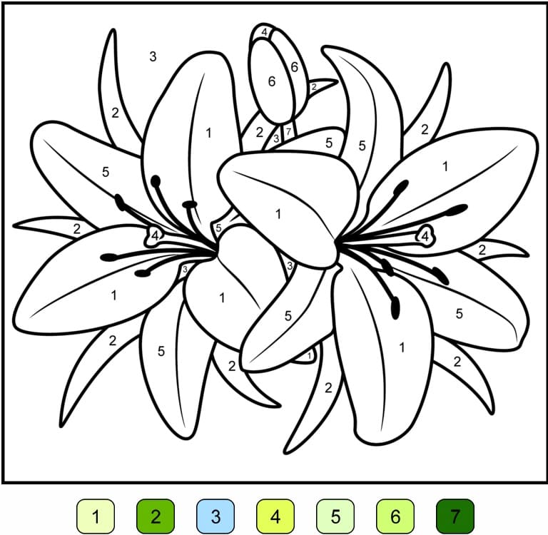 Lily Flower Color by Number Coloring Page - Free Printable Coloring Pages  for Kids