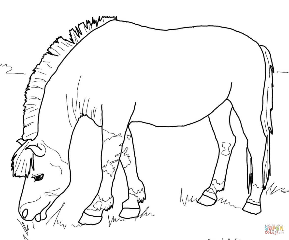 Norwegian Fjord Horse coloring page | Free Printable Coloring Pages