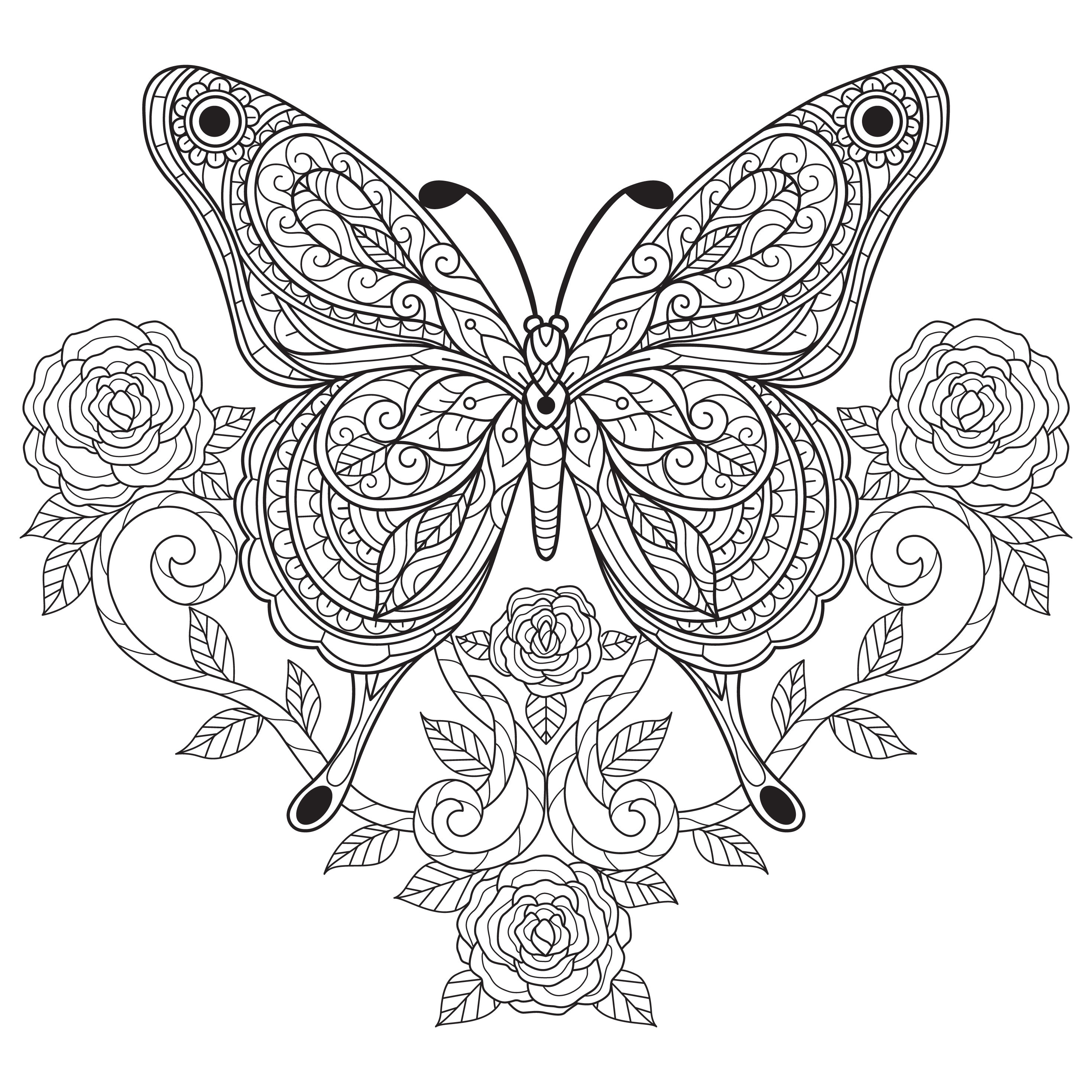 Butterfly Coloring - Etsy