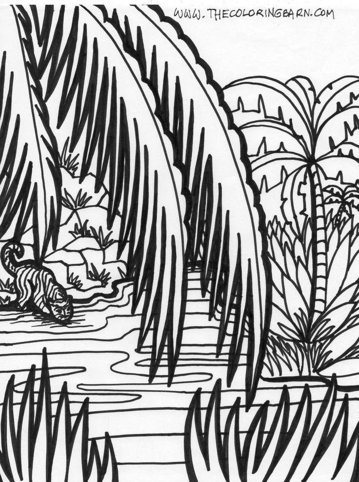 Jungle Scene Coloring Pages | ... pages sheets and pictures bible ...