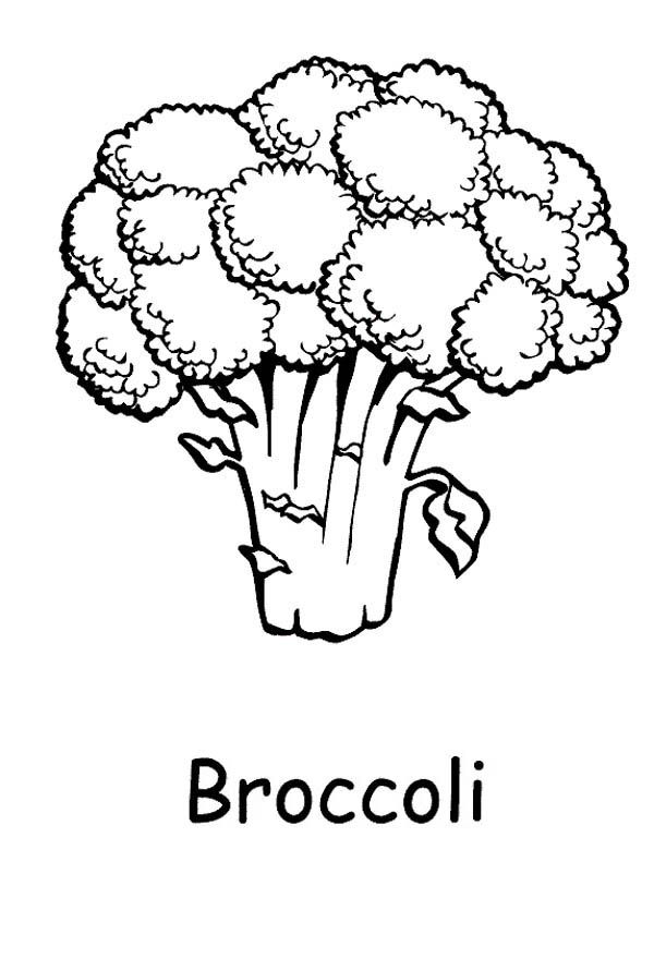 A Healthy Green Broccoli Coloring Page | Kids Play Color