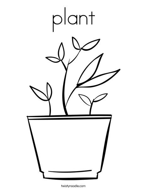 plant Coloring Page - Twisty Noodle
