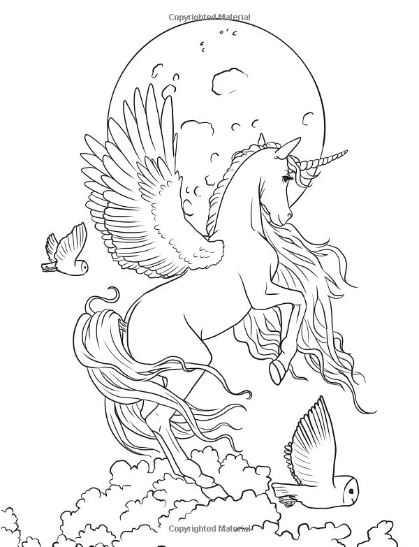 Fairy Art Coloring Book (Fantasy Art Coloring by Selina) (Volume 1): Selina  Fenech: 978098756… | Unicorn coloring pages, Horse coloring pages, Animal coloring  pages