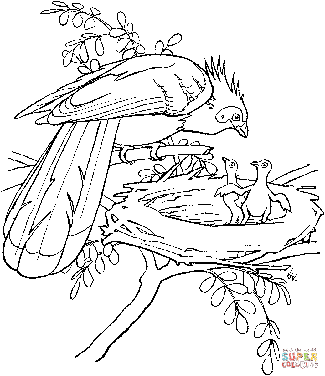 Hoatzin Bird coloring page | Free Printable Coloring Pages