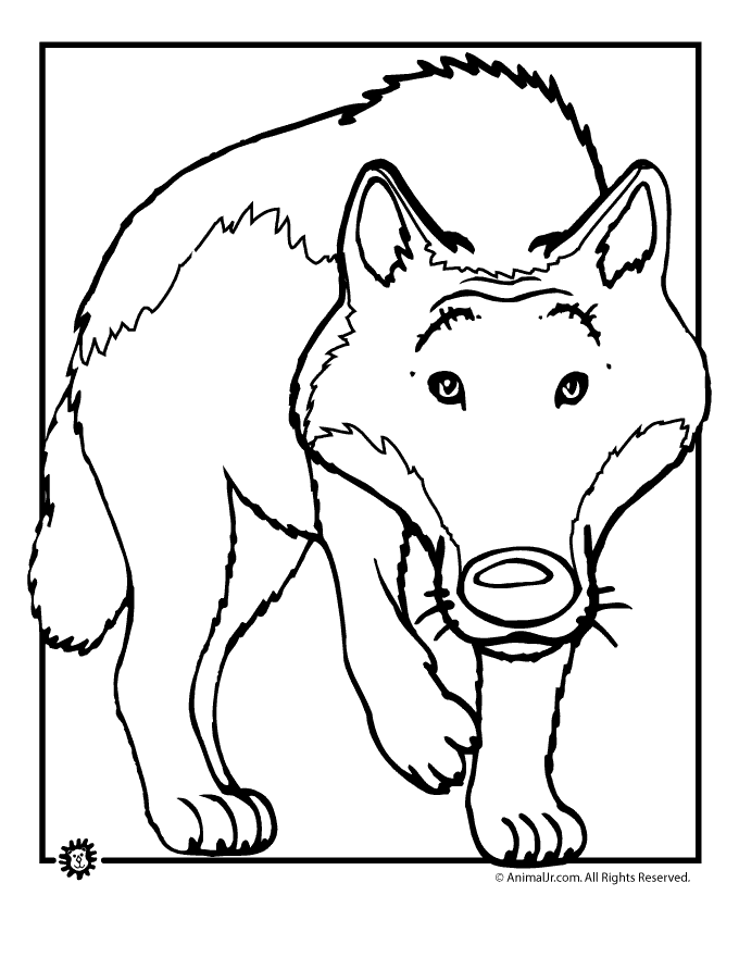 Cartoon Wolf Coloring Page | Woo! Jr. Kids Activities : Children's  Publishing