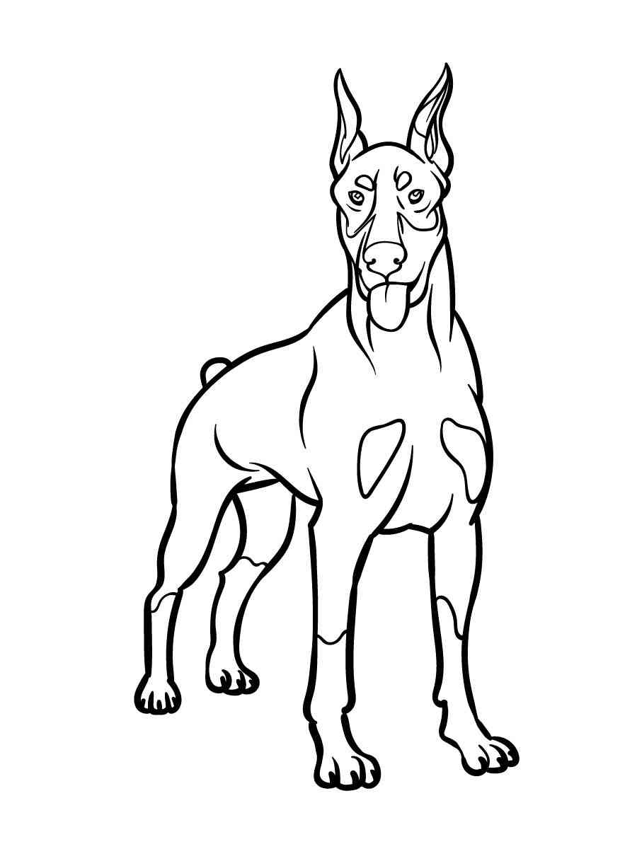 Doberman coloring pages