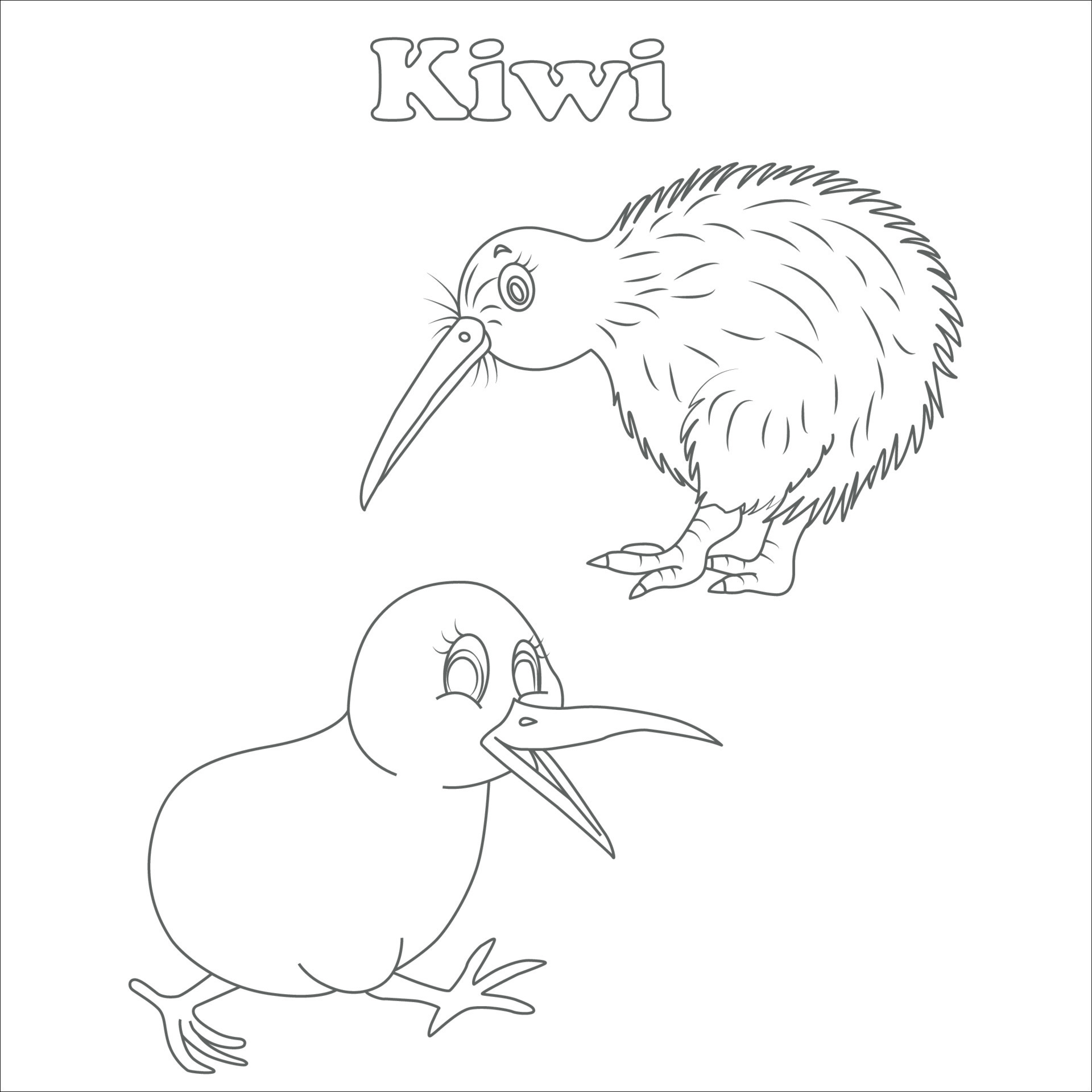 Amusing flightless Australian kiwi bird with shaggy feathers and a long  bill walking among tall grass, black and white outline vector for a  coloring book page 11996010 Vector Art at Vecteezy