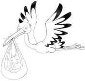 Stork coloring pages | Free Coloring Pagessupercoloring.com