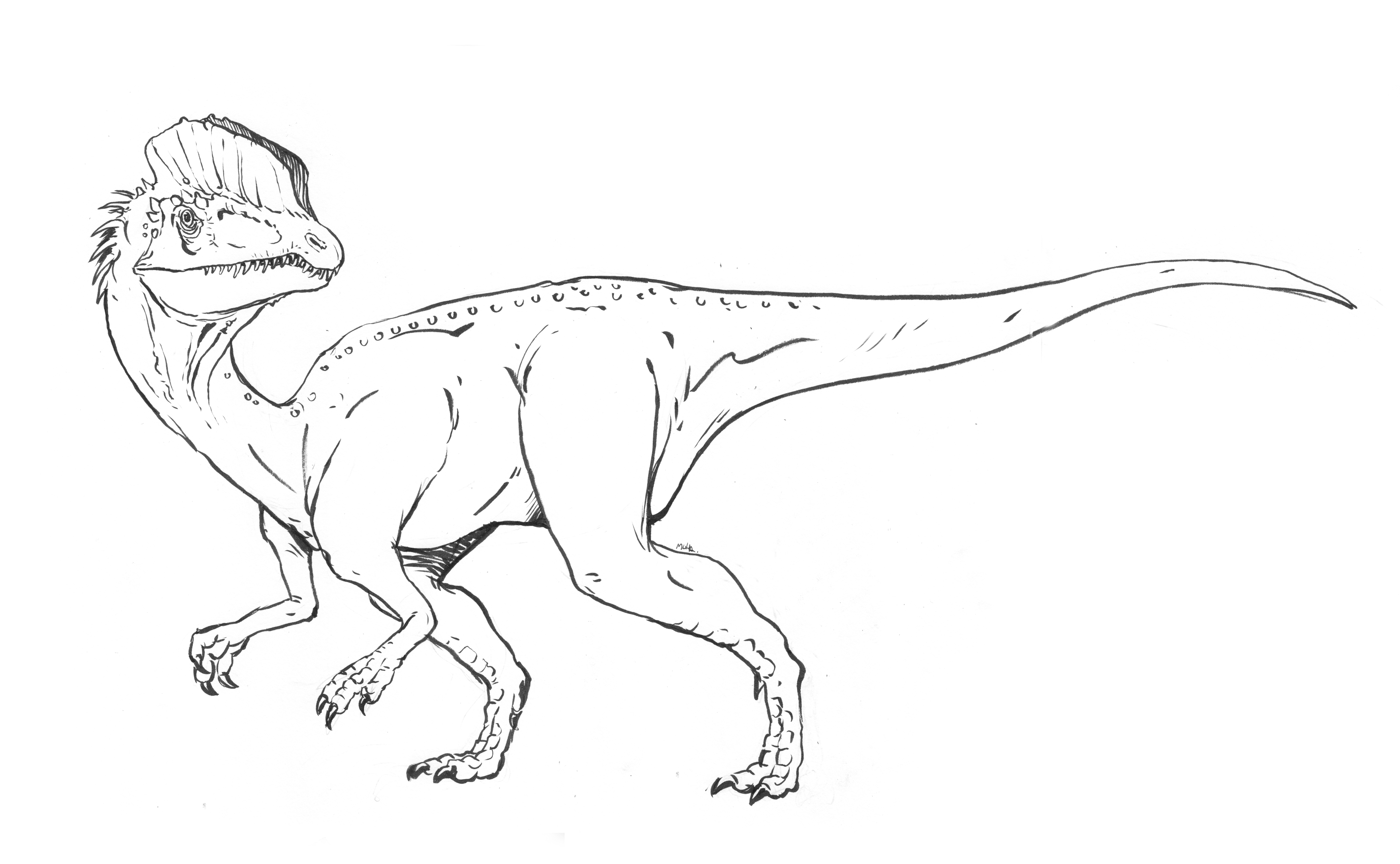 Drawing Jurassic Park #16001 (Movies) – Printable coloring pages