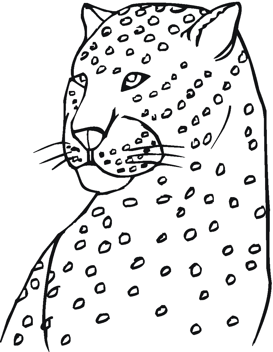 Free Leopard Coloring Pages