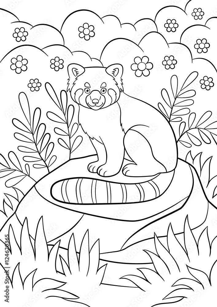 Coloring pages. Little cute red panda smiles. Stock Vector | Adobe Stock