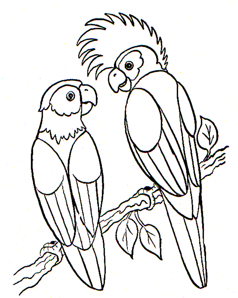 Bird Coloring Page Parrots | Animal Coloring pages of ...