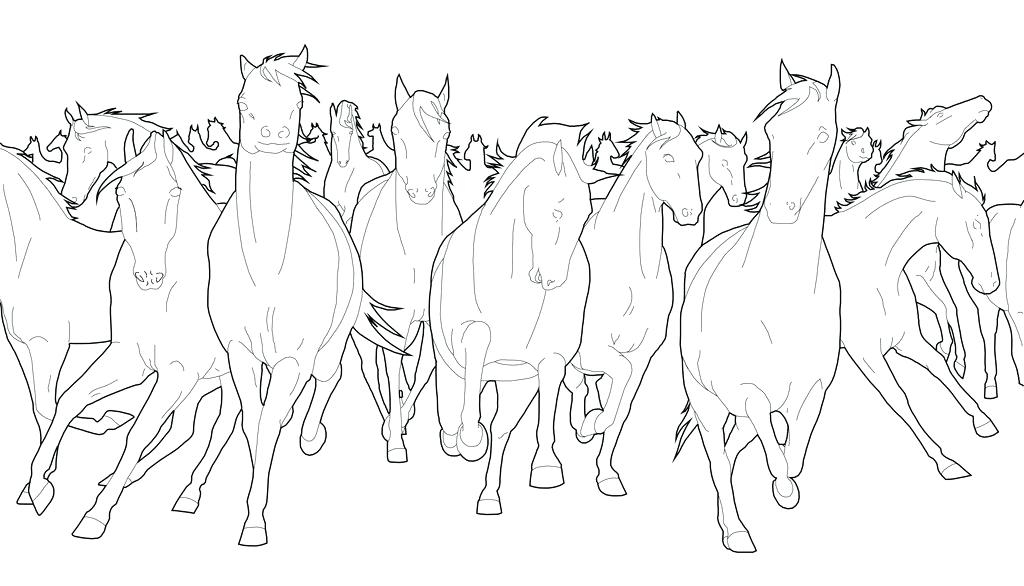 Horse Herd Coloring Pages at GetDrawings | Free download