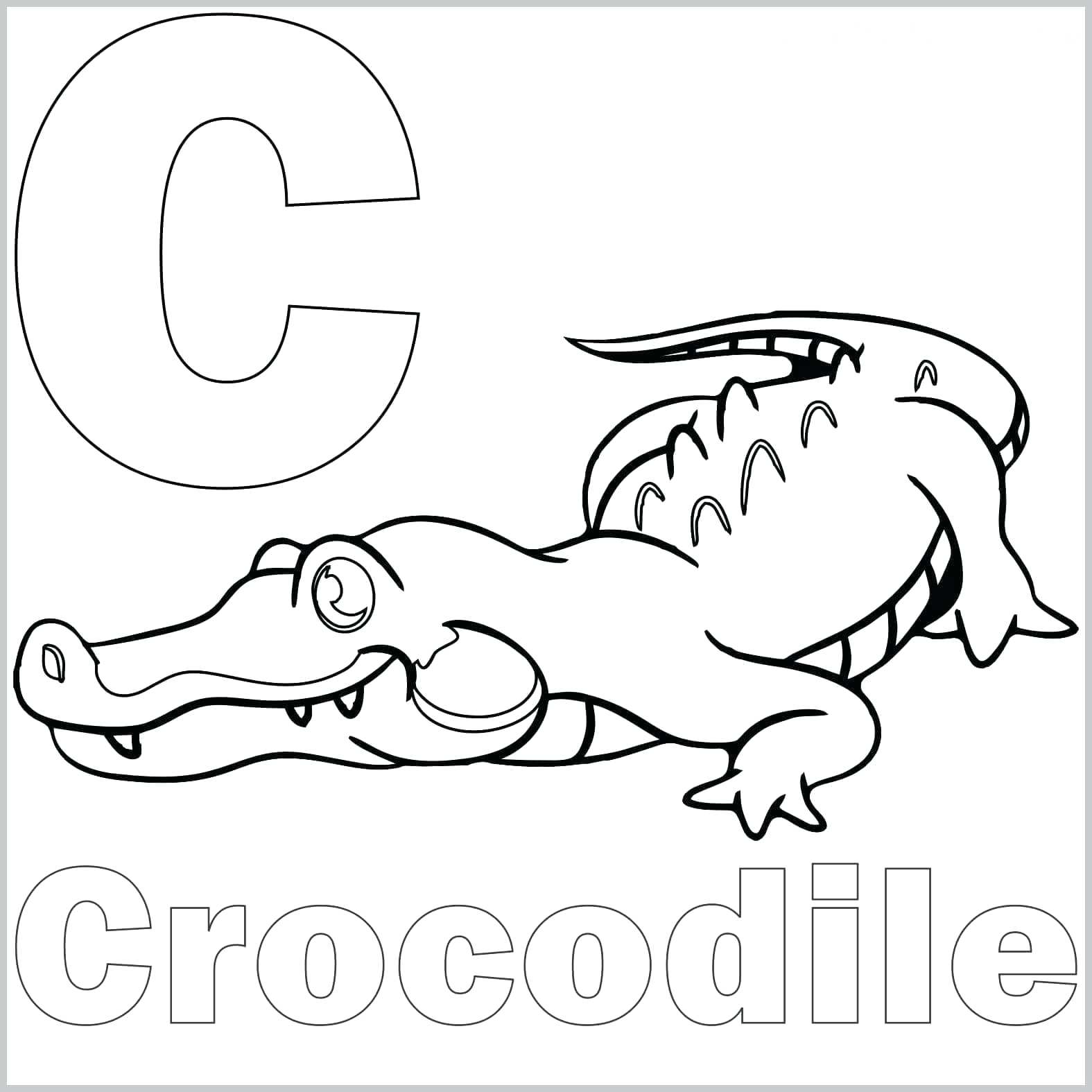 Top 30 Wicked Alligator Coloring Pages For Kids Printable Image ...