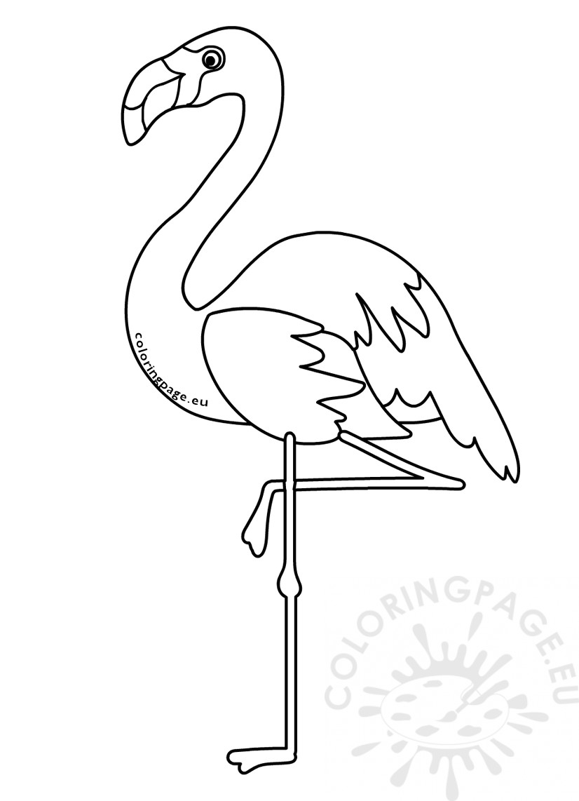 Coloring Sheets : Animalsoloring Pagesartoon Flamingo Bird Page ...