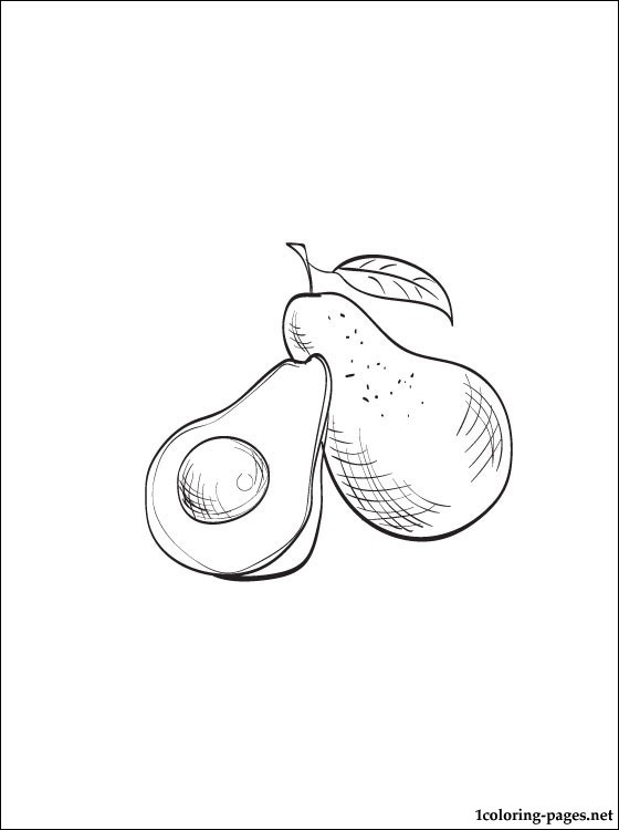 Avocado coloring page to print out | Coloring pages