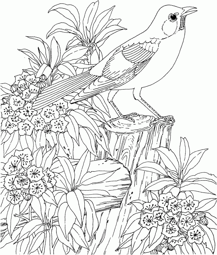 Difficult Coloring Pages For Adults
