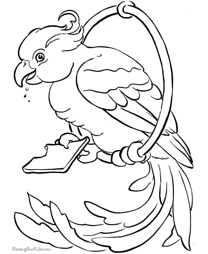 Bird Coloring Sheet | Free coloring pages