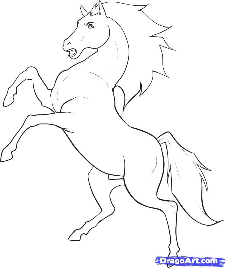 Draw a Stallion, Step by Step, Drawing Sheets, Added by Dawn 