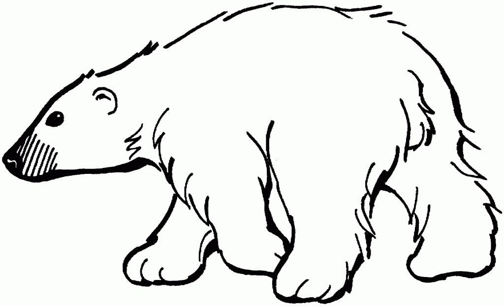 Polar Bear Coloring Page - Free Coloring Pages For KidsFree 