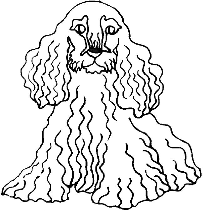 Cocker Spaniel Coloring Pages - Best Coloring Pages For Kids | Dog coloring  page, Cute dogs, Cuddly animals
