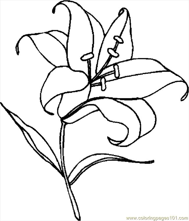 Easter Lily 5 Coloring Page for Kids - Free Holidays Printable Coloring  Pages Online for Kids - ColoringPages101.com | Coloring Pages for Kids
