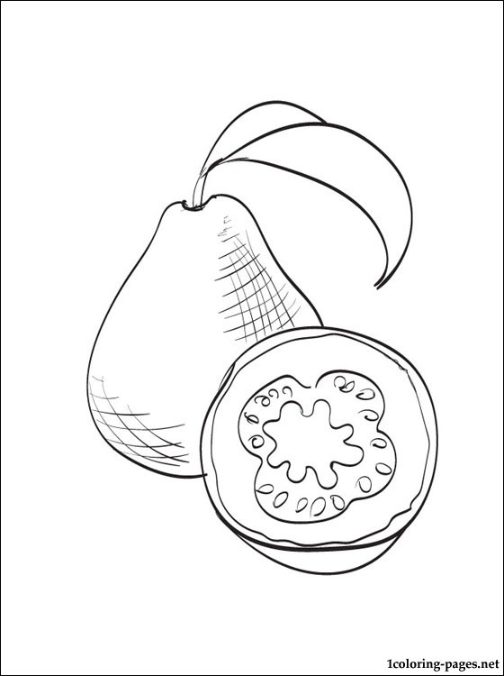 Guava coloring page to print out | Coloring pages