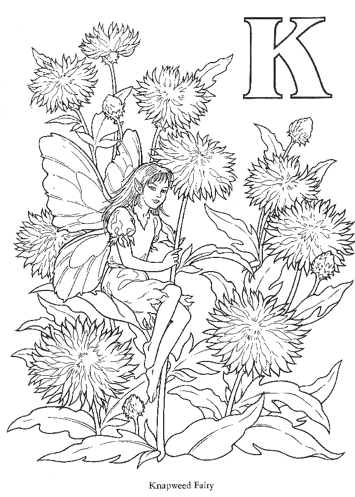 free coloring book with coloring pages of faeries elves angels ...