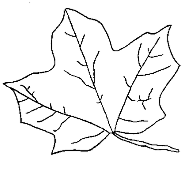 Fall Leaf Printable — Crafthubs