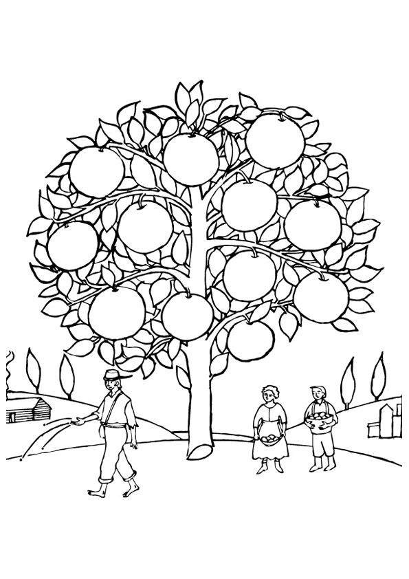 Free Printable Orange Coloring Pages, Orange Coloring Pictures for  Preschoolers, Kids | Parentune.com