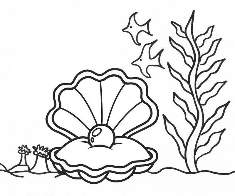 Pin on Oyster Coloring Pages