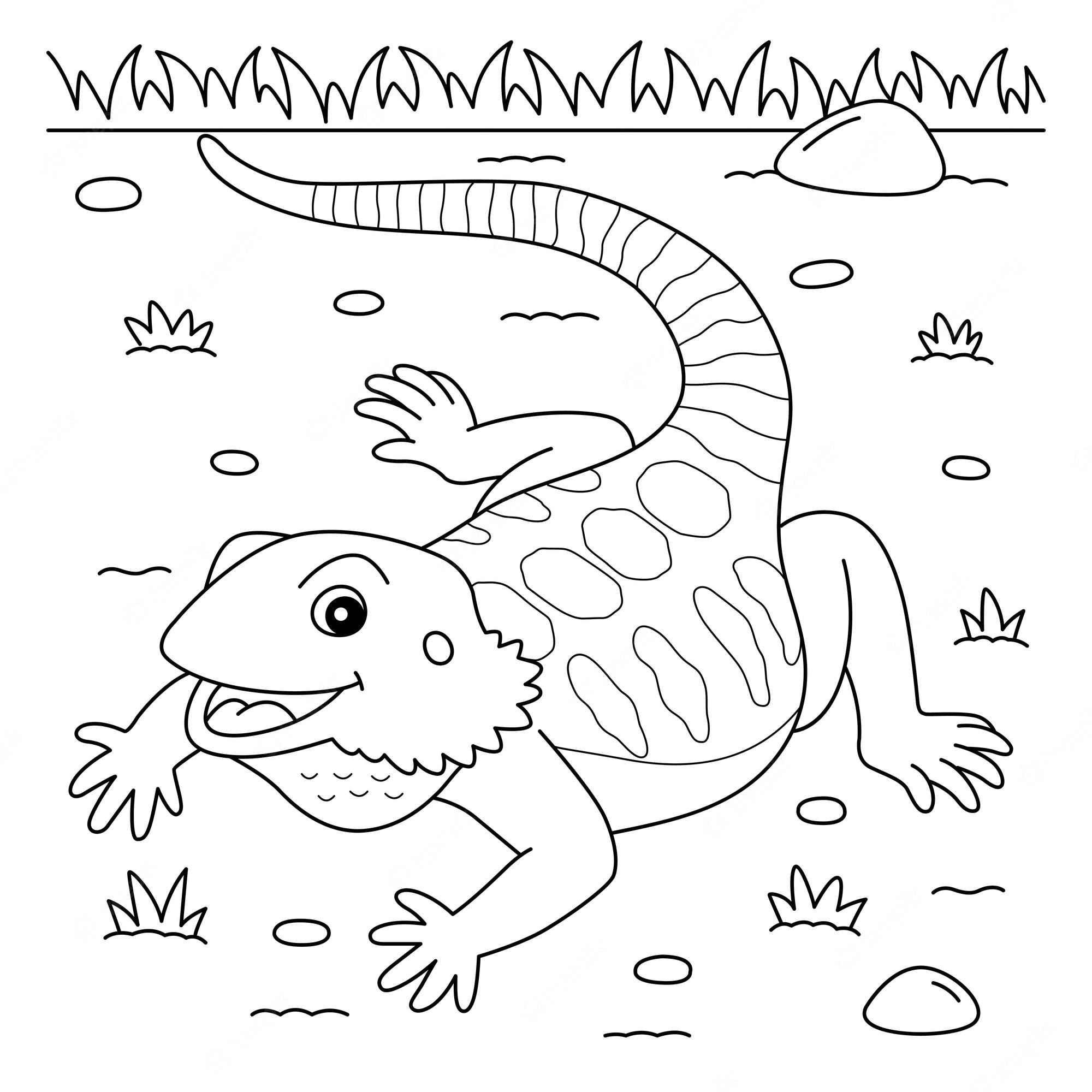 Premium Vector | Bearded dragon animal coloring page for kids