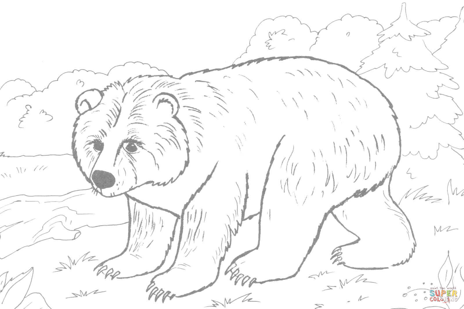 Brown Bear coloring page | Free Printable Coloring Pages