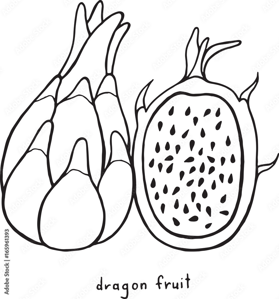 Dragon fruit coloring page. Graphic ...